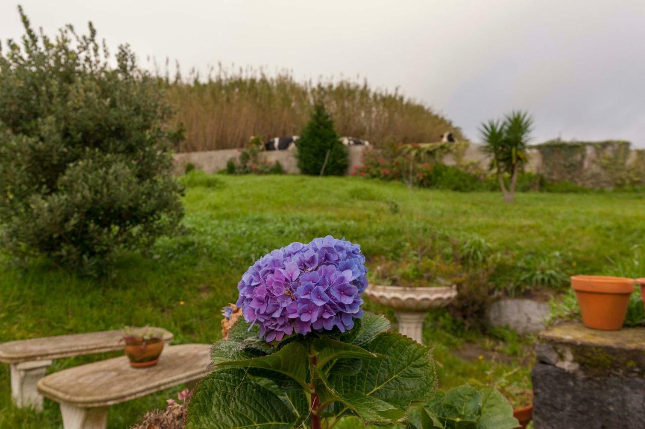 Candelaria House Екстериор снимка
